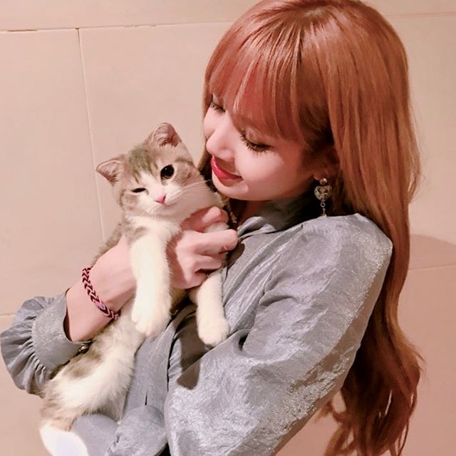 10 Seleb Korea ini pencinta kucing, sama sama bikin gemas