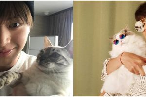 10 Seleb Korea ini pencinta kucing, sama sama bikin gemas