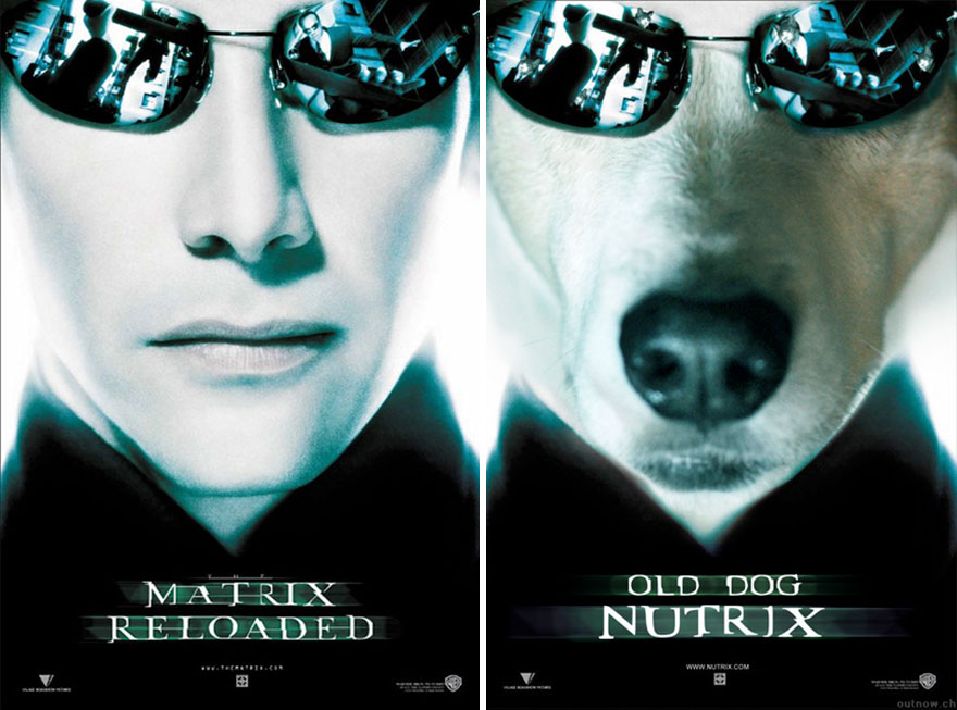 10 Parodi poster film ini kocak, pemeran utama diganti anjing lucu