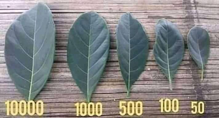 9 Meme lucu masa kecil anak 90-an ini bikin ketawa nostalgia