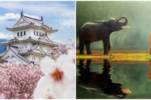 Usai pandemi, 3 negara ini bakal bayar kamu untuk traveling