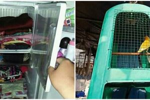 10 Ide kreatif dari barang rusak ini endingnya nyeleneh abis