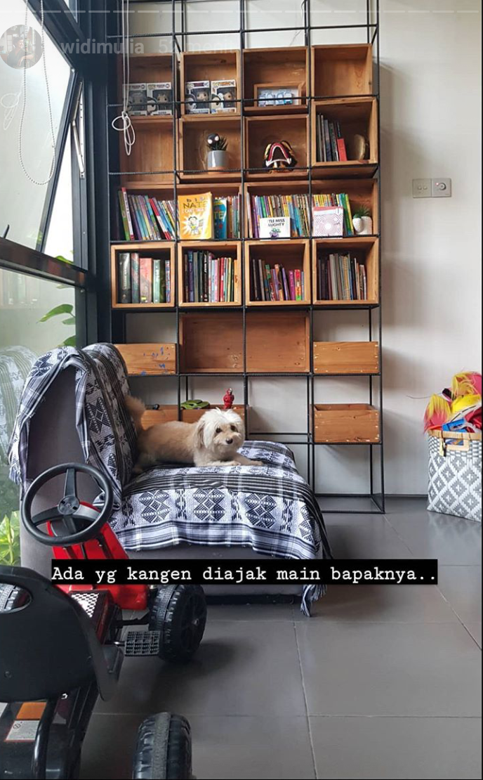 Dwi Sasono tunggu hasil asesmen, Widi Mulia unggah ungkapan rindu