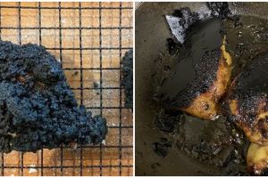 10 Potret masakan ayam gosong ala netizen ini bikin ketawa miris