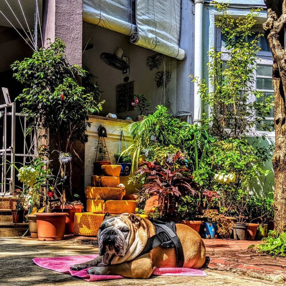 7 Potret apartemen Vir Das aktor Bollywood, luas & Instagramable