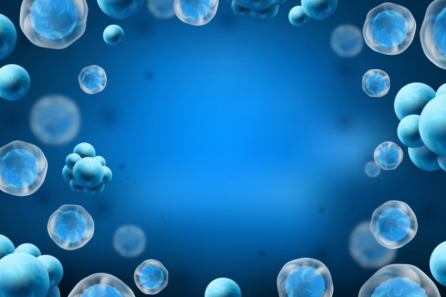 8 Manfaat biji pepaya untuk kesehatan yang jarang diketahui