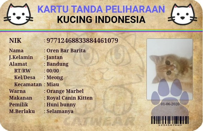 12 Potret lucu KTP kucing warganet +62, namanya unik-unik
