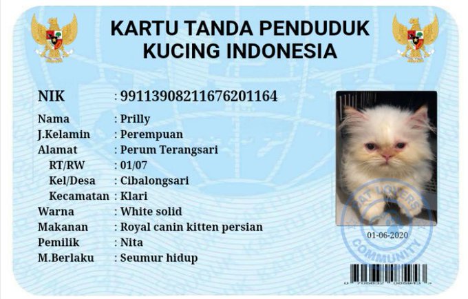 12 Potret lucu KTP kucing warganet +62, namanya unik-unik