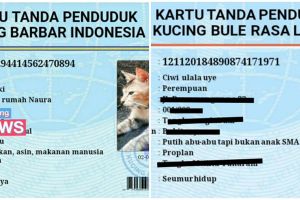 12 Potret lucu KTP kucing warganet +62, namanya unik-unik