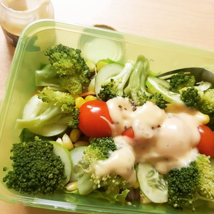 Bekal makan siang berbagai sumber Bekal makan siang berbagai sumber