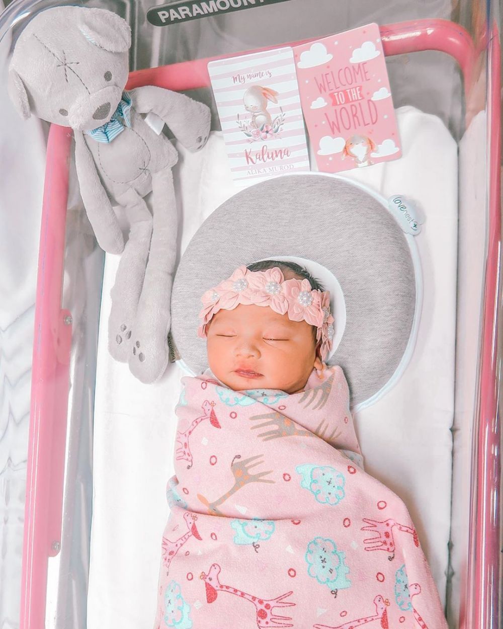 5 Momen Kinal eks JKT48 melahirkan anak pertama