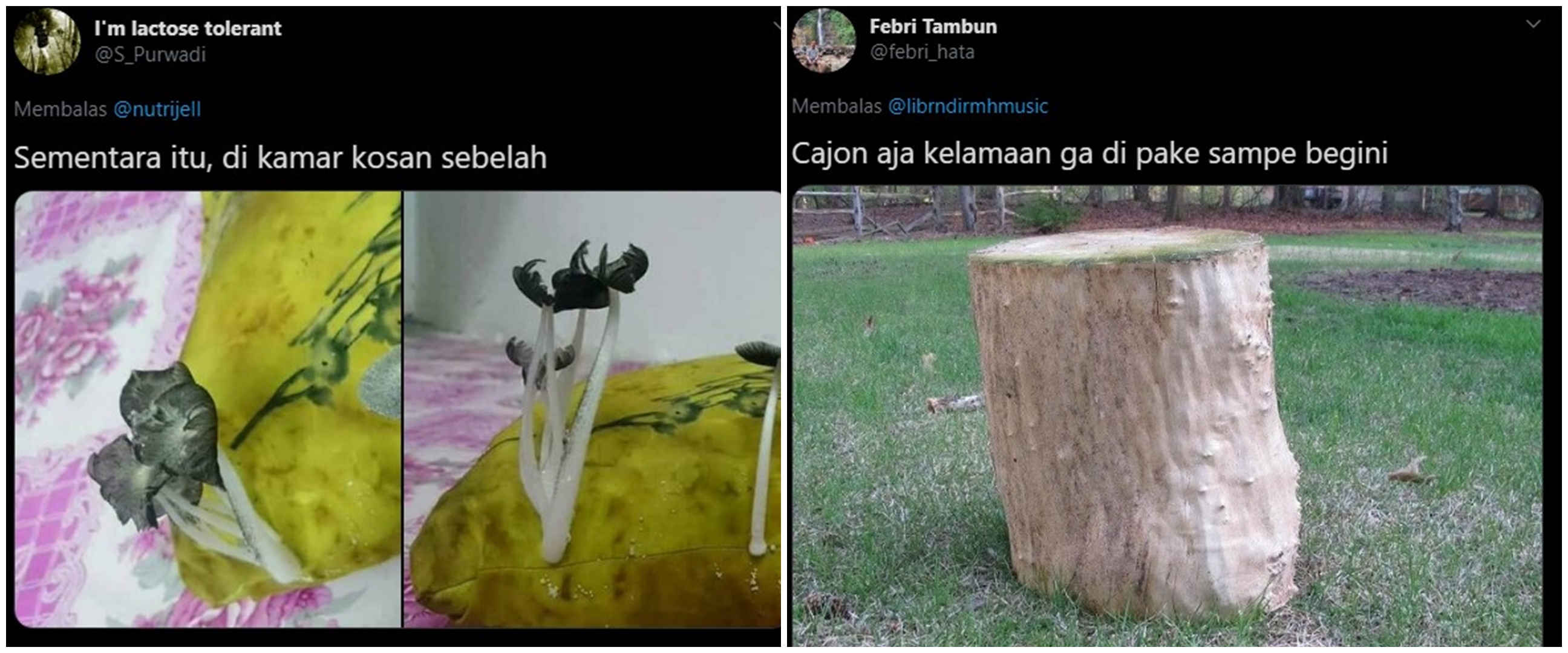 10 Potret barang usai ditinggal 3 bulan ini bikin tepuk jidat  