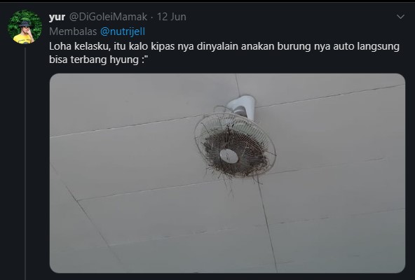 10 Potret barang usai ditinggal 3 bulan ini bikin tepuk jidat  