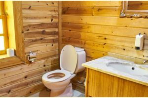 Biarkan toilet terbuka dapat cegah penularan corona? Ini penjelasannya