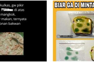 10 Meme lucu bikin tertipu ini kocaknya absurd abis