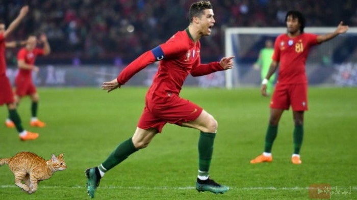 10 Editan foto Cristiano Ronaldo dikejar kucing ini nyeleneh abis
