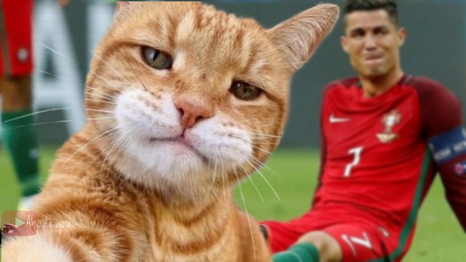 10 Editan foto Cristiano Ronaldo dikejar kucing ini nyeleneh abis