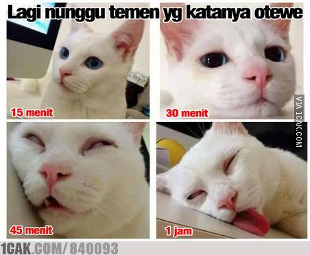 10 Meme lucu OTW ala orang Indonesia ini kocaknya bikin nyengir kesal