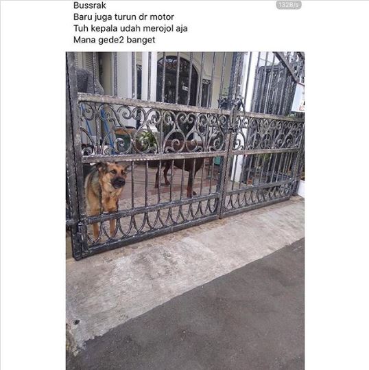 10 Status Facebook driver ojek online, bikin senyum sampai tujuan