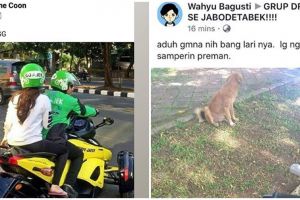 10 Status Facebook driver ojek online, bikin senyum sampai tujuan