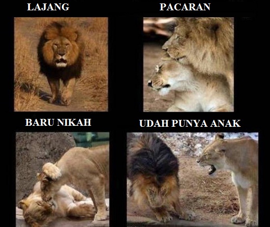 8 Meme perubahan setelah menikah, kocak banget