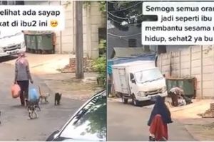 Viral video wanita beri makan kucing jalanan tiap hari, bikin haru