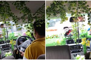 Interior taksi online ini dipenuhi tanaman hias, alasannya tak terduga