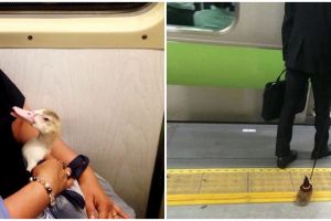 15 Potret lucu penumpang bawa hewan di kereta, ada marmut