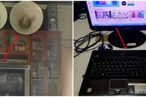 10 Ide nyeleneh dari barang elektronik ini bikin tepuk jidat