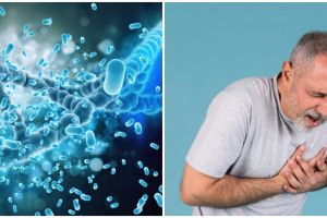 8 Manfaat minyak mustard untuk kesehatan