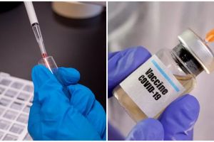  Vaksin virus corona dipastikan tersedia paling cepat akhir 2020