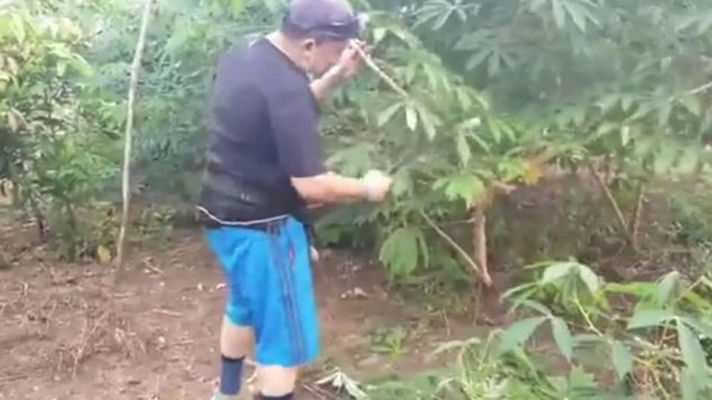 7 Potret aktivitas Fahri Hamzah usai tak duduk di DPR, panen singkong