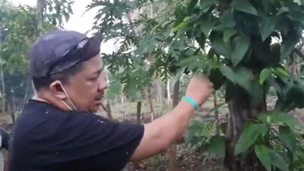 7 Potret aktivitas Fahri Hamzah usai tak duduk di DPR, panen singkong
