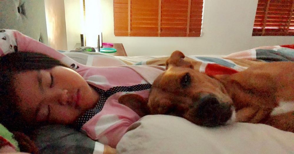 rumah Jill Carissa Angling Dharma instagram rumah Jill Carissa Angling Dharma instagram