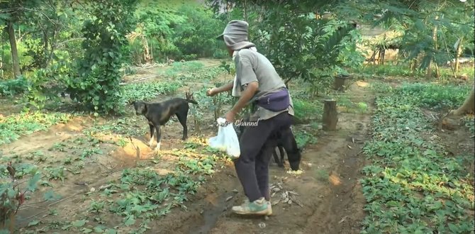 Kisah wanita tinggal di hutan sendiri selama 10 tahun