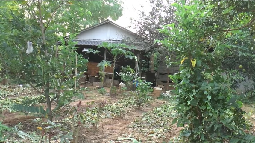 Kisah wanita tinggal di hutan sendiri selama 10 tahun
