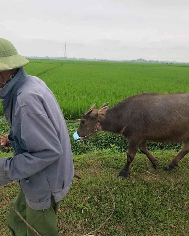 10 Momen absurd hewan di tempat umum ini bikin pengen ketawa