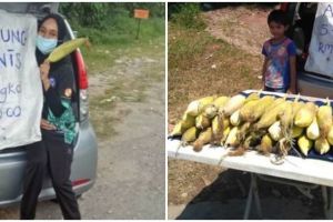 Ditinggal suami, ibu hamil ini hidupi 6 anak dengan jual jagung