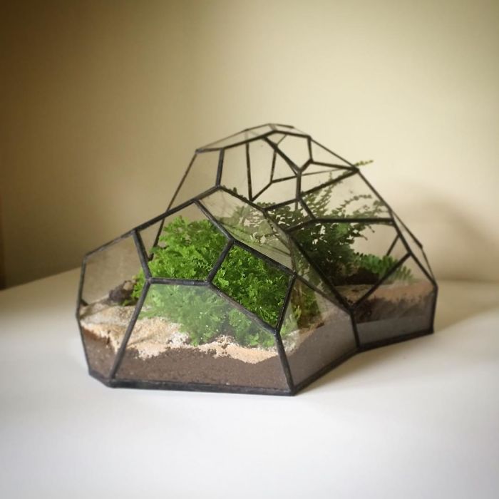 10 Potret terrarium ini desainnya keren banget, cocok untuk hiasan