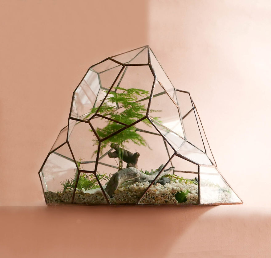 10 Potret terrarium ini desainnya keren banget, cocok untuk hiasan