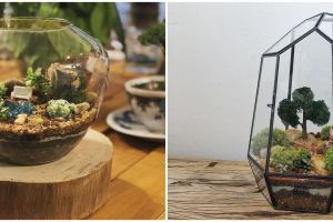 10 Potret terrarium ini desainnya keren banget, cocok untuk hiasan