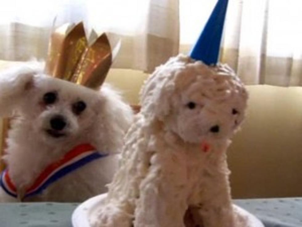 Niatnya bikin bentuk hewan, 9 kue ulang tahun ini hasilnya absurd