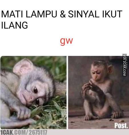 10 Meme sinyal internet di HP ini lemotnya menguji kesabaran