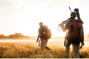 50 Kata-kata bijak pencinta alam, penuh makna dan motivasi