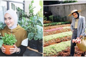 Penampakan kebun milik 7 seleb Tanah Air, rapi dan asri