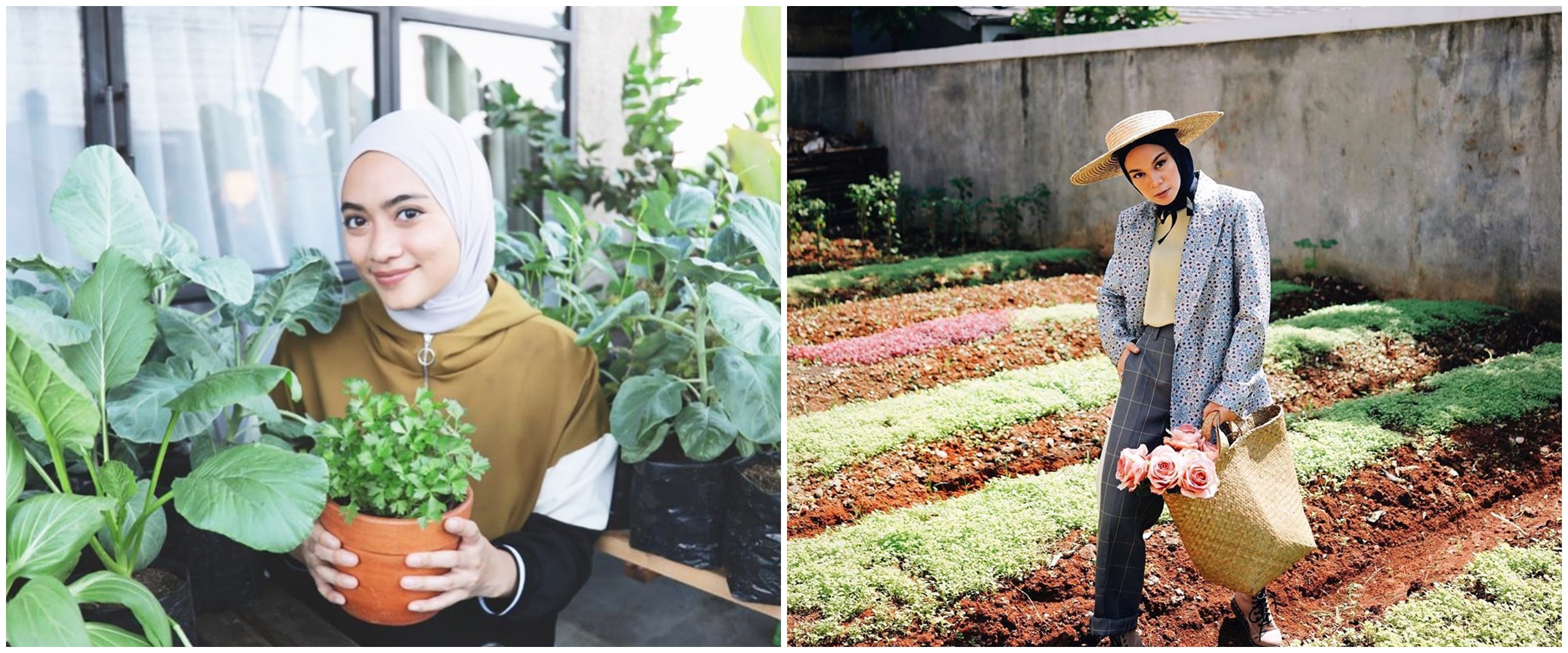 Penampakan kebun milik 7 seleb Tanah Air, rapi dan asri