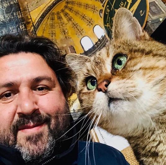 7 Potret bukti kucing Gli jadi idola pengunjung Hagia Sophia