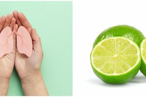 6 Cara alami bersihkan paru-paru, salah satunya pakai jeruk nipis