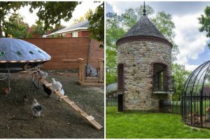 20 Kandang ayam ini punya bentuk unik, bisa jadi inspirasi