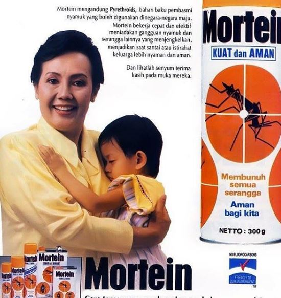 10 Potret masa muda personel Golden Girls, Rina Hasyim manglingi